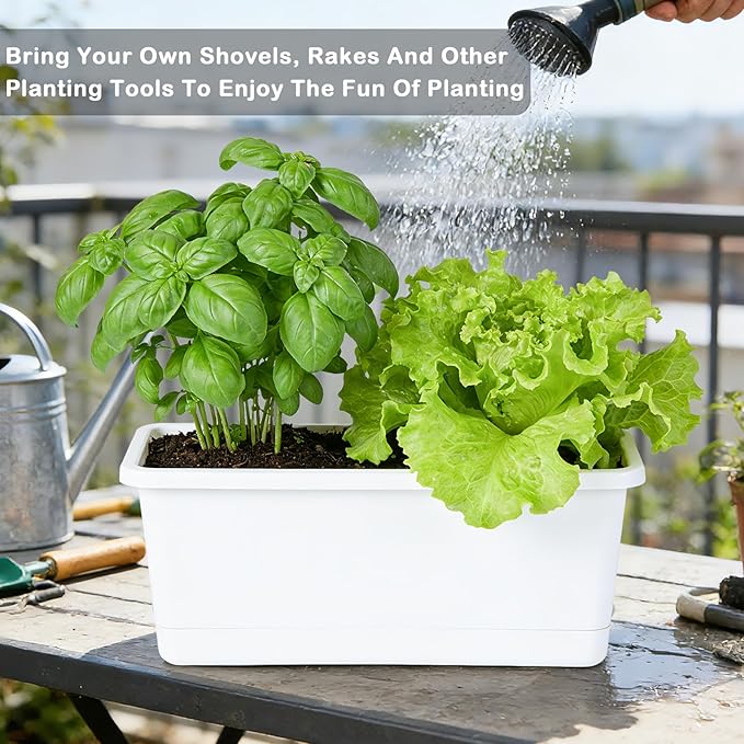 Window Box Planter 6 Packs, 13.8 Inches Rectangle Flower Pots with Drainage Holes & Trays, Pots for Vegetables, Herbs, Flowers, Garden Windowsill Balcony (White)