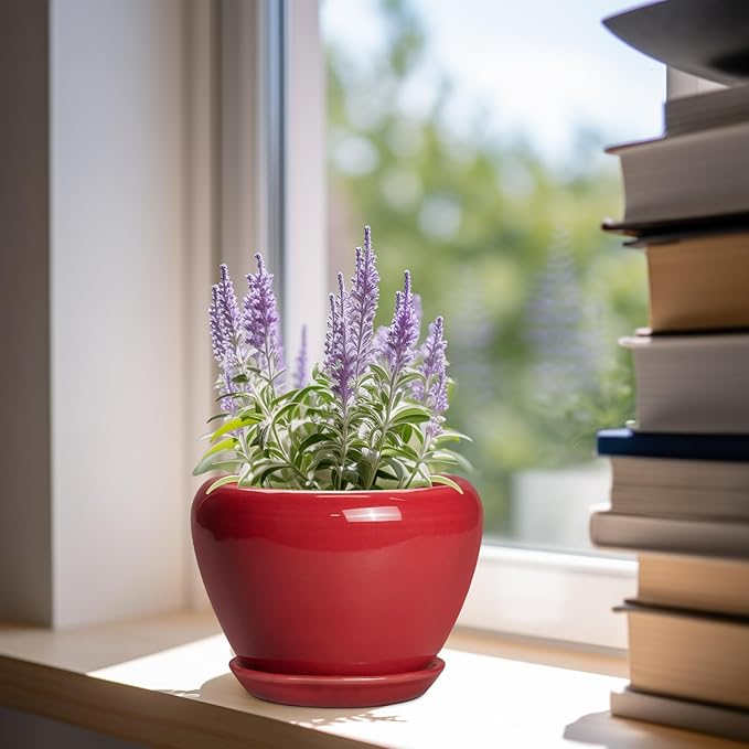 6 Inch Plant Pot - Glaze Modern Ceramic Planter for Indoor Plants, Succulent Pot with Drainage Hole and Saucer, Office Garden Home Decor, Housewarming Gift, Red