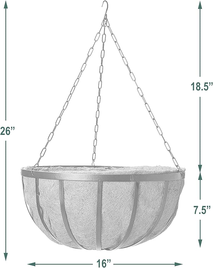 Arcadia Garden Products 1592 Solstice Series Coconut Hanging Basket 16-Inch