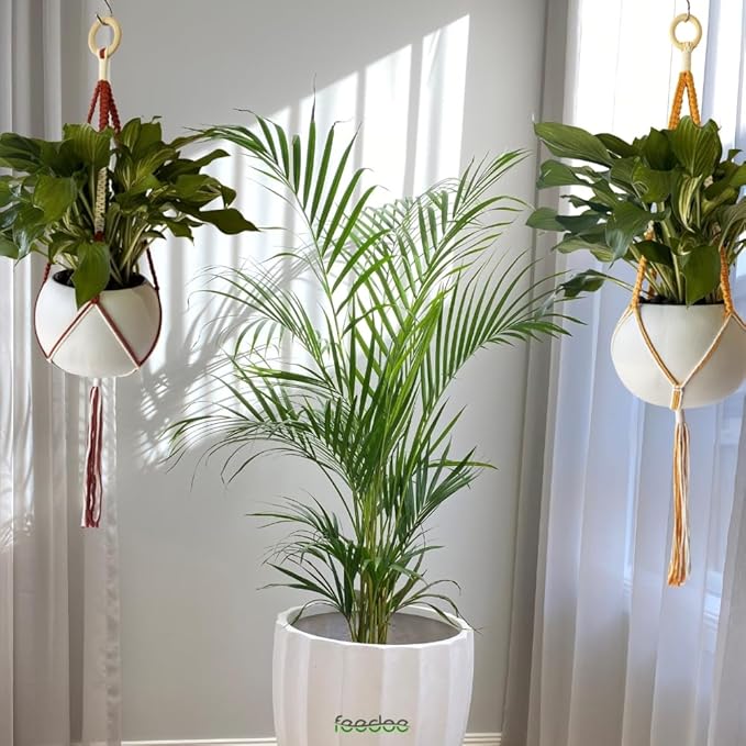 feedee 2 Pack Plant Hanger Indoor, Hanging Plant Holder, Macrame Plant Hangers, Handmade Boho Two-Tone Plant Hanger, Indoor Outdoor Flower Pots Holder, Home Décor Ivory (POTS NOT Included)