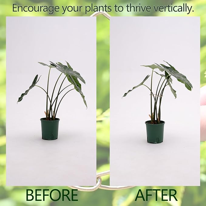 Monstera Plant Stem Support - 5 Piece Set, 4.13x2.95in Durable Leaf Holder & Fishbone Cactus Stake for Healthy Growth of Climbing Plants - Easy to Use Indoor Plant Decor