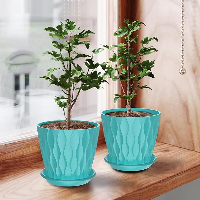 6 Pack 6 Inch Indoor Plant Pots with Drainage Holes, Outdoor Plastic Decorative Flower Pots, Garden Planters with Tray Saucers for Orchids, Violets, Succulents, Herbs, and Other Plants