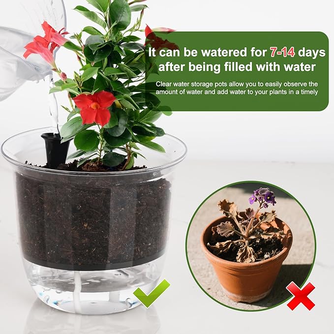 Plant Pots 6 inch Set of 3, Self Watering Pots for Indoor Outdoor Plants Flowers, Self Watering Planters with Reservoir, Drainage Hole and Absorbent Cotton Rope (3 Large)