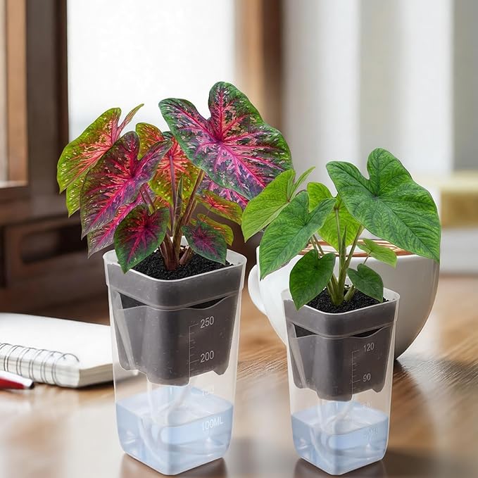 LemonRoad 20 Pack 2" and 2.5" Small Self Watering Pots for Indoor Plants with 20 Plant Label Mini Clear Plastic Planters with Water Level and Drainage Hole for Propagation, Succulents, African Violet