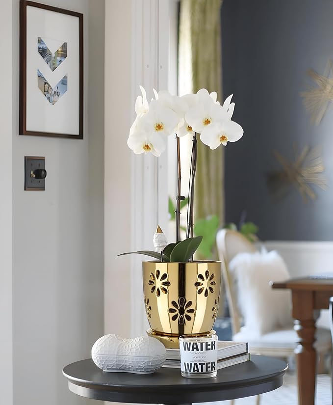 Oairse 6 inch Orchid Pots with Holes, Gold Ceramic Orchid Pot for Repotting Small Indoor Plant Pots with Drainage Holes and Saucers Decorative Flower Planter for Orchids, Indoor Plant