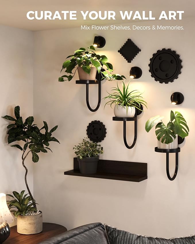 Bamworld Wall Decor Plant Stand with Lights Wall Art Planters Window Plant Hanger Indoor Hanging Planters for Indoor Plants for Living Room Black