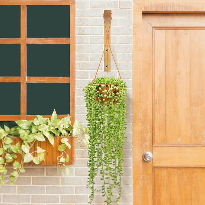 Wooden Plant Hangers - Hanging Plant Hooks for Indoor Outdoor, Wood Hanging Wall Plant Hooks Heavy Duty for Flower Pots Wind Chimes and Bird Feeders(2-Pack,8-Inch)