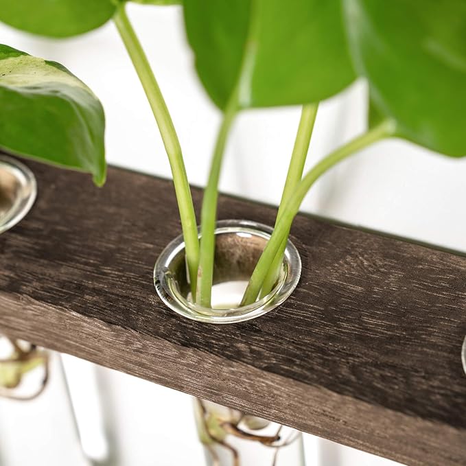 Mkono Plant Propagation Tubes, 3 Tiered Wall Hanging Terrarium with Wooden Stand Flower Vase Test Tube Glass Planter Stations for Hydroponic Cutting Home Garden Office Decor (Brown, Small)