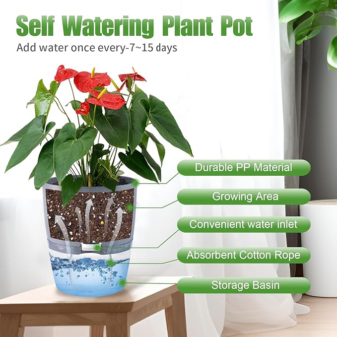 6 Inch Self Watering Pots for Indoor Plants, 6 Pack Grey Plastic Flower Pots with Drainage Holes for African Voilet Herbs All House Plants (Include 1 Spray Bottle)