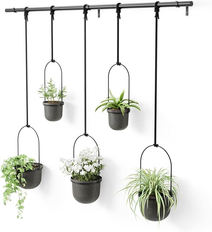 Umbra Triflora Hanging Planter for Window, Indoor Herb Garden, Set of 5, Black