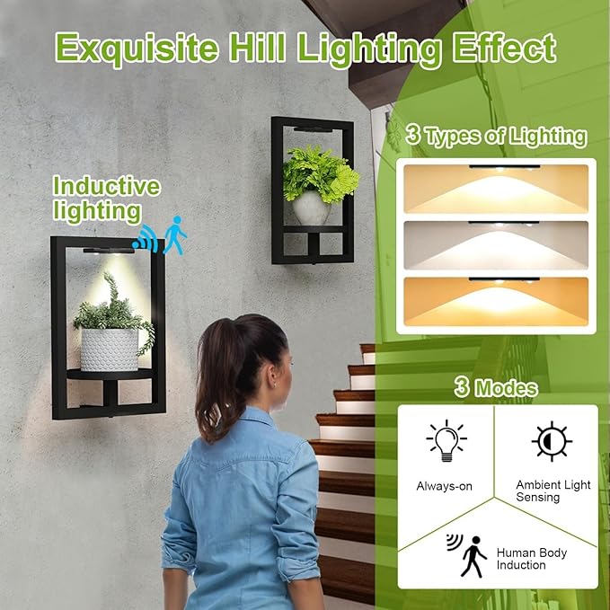 BAOYOUNI 2 Pack Picture Frame Wall Plant Holder with Light,Metal Window Plant Shelf，Modern Floating Plant Stand for Indoor Outdoor Patio Balcony Garden Living Room Bedroom