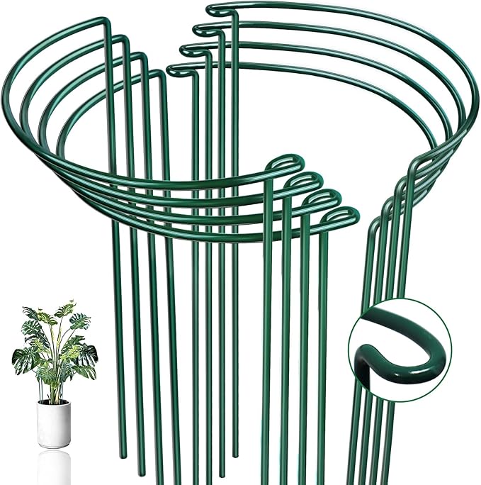 8 Pack Half Round Snake Plant Support Stakes Sets - Strong Plant Support and Cage, Durable Houseplant Stakes, Plant Support Ring for Indoor and Outdoor Plants, Such as Aloe, Peony, Hydrangea, ZZ