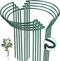 8 Pack Half Round Snake Plant Support Stakes Sets - Strong Plant Support and Cage, Durable Houseplant Stakes, Plant Support Ring for Indoor and Outdoor Plants, Such as Aloe, Peony, Hydrangea, ZZ
