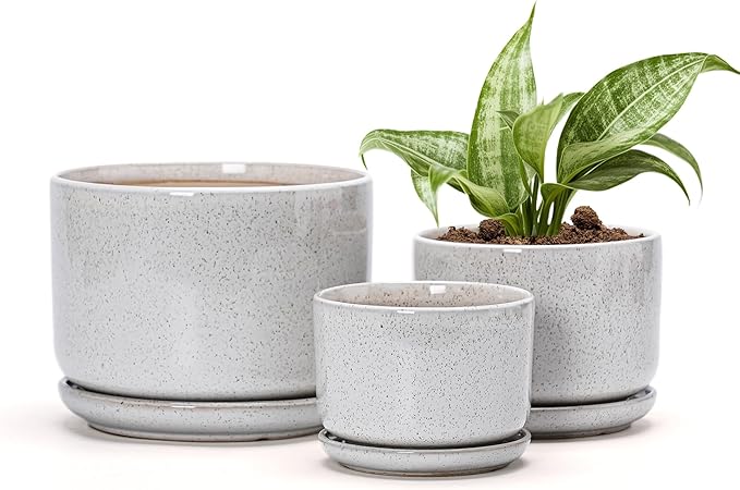 Ton Sin Plant Pots, 4.1+5.1+6.5 inch, Set of 3, Ceramic Planters with Drainage Hole and Saucer, Indoor Flower Pot with Drainage Hole, Gifts for Mom(Reactive Glaze White)