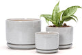Ton Sin Plant Pots, 4.1+5.1+6.5 inch, Set of 3, Ceramic Planters with Drainage Hole and Saucer, Indoor Flower Pot with Drainage Hole, Gifts for Mom(Reactive Glaze White)