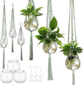6 Pcs Plastic Plant Propagation with Boho Macrame Hanger Wall Plant Propagation Station Hanging Holder Include Hooks Kit for Indoor Home Garden Office Decor 3 Size (Sage Green)