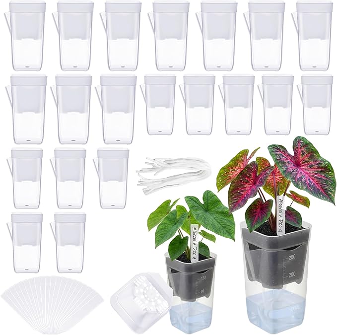 LemonRoad 20 Pack 2" and 2.5" Small Self Watering Pots for Indoor Plants with 20 Plant Label Mini Clear Plastic Planters with Water Level and Drainage Hole for Propagation, Succulents, African Violet