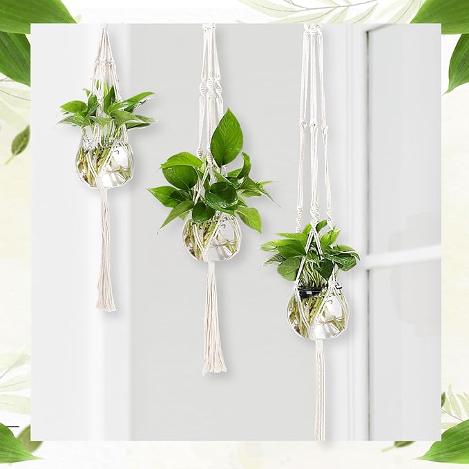 12 Pcs Plastic Plant Propagation with Boho Macrame Hanger Wall Plant Propagation Station Hanging Holder Include Hooks Kit for Indoor Home Garden Office Decor 3 Size (White)
