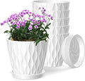 6 Inch Plant Pots, 6 Pack Indoor Flower Pots, Planters with Drainage Holes and Trays for Orchids, Violets, Succulents, Herbs, and Other Plants,White