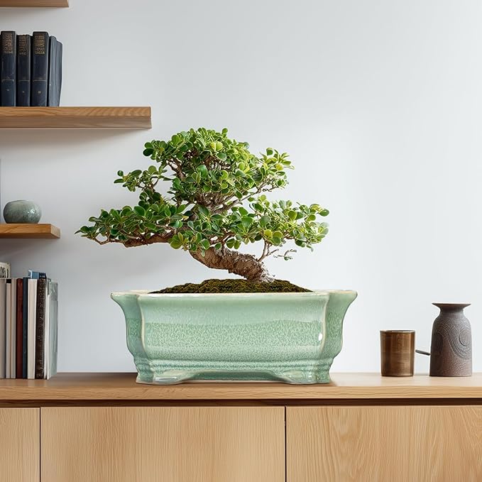 Bonsai Pots - 13.7 Inch Rectangle Ceramic Pots for Plants, Large Succulent Planter with Drainage Hole, Decorative Planters for Indoor Outdoor, Garden House Decor, Housewarming Gifts, Green