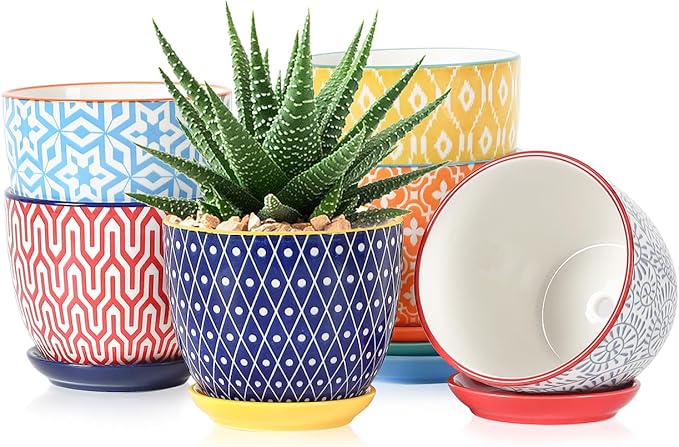 Selamica Ceramic Succulent Pots, 4.6 Inch Small Plant Pots with Drainage Holes & Saucers, Succulent Planters for Indoor Plants Cactus, Home Decor, Set of 6, Assorted Colors
