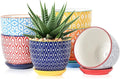 Selamica Ceramic Succulent Pots, 4.6 Inch Small Plant Pots with Drainage Holes & Saucers, Succulent Planters for Indoor Plants Cactus, Home Decor, Set of 6, Assorted Colors