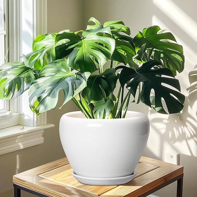 Ceramic Pot for Plants - 10 Inch Planter with Drainage Hole and Saucer, Glaze Modern Round Flower Pot for Indoor Plants, Housewarming Gift, Home Decor, White