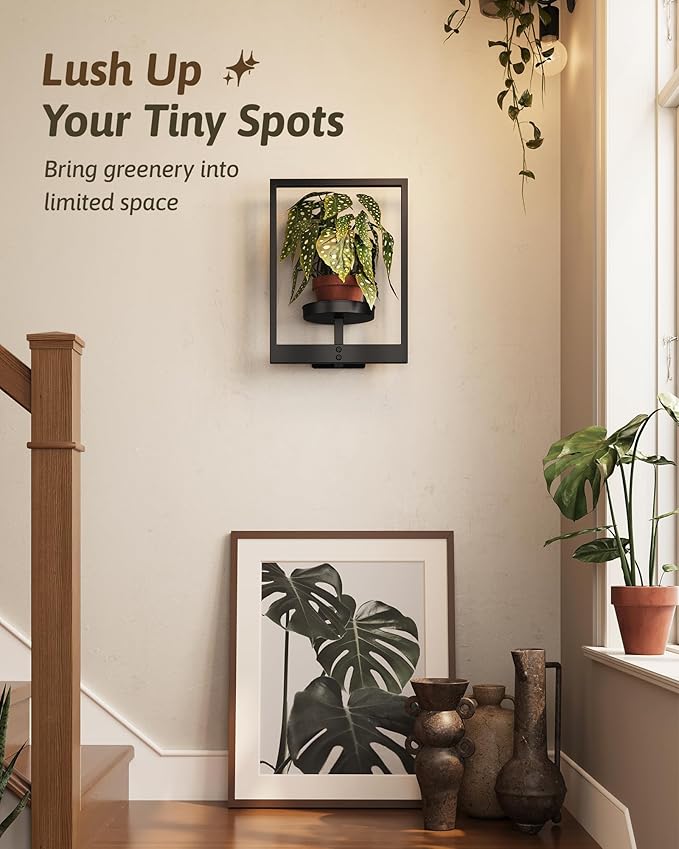 Wall Plant Holder Wall Planters for Indoor Plants Plant Wall Shelf Plant Hanger Indoor Hanging Plant Holder Plant Wall Hanger for Living Room Window Balcony
