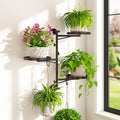 iDavosic.ly Rotating Window Plant Shelves, 3-Tier Metal Wall Stand with 2 Hooks, Flower Display Holder Rack for Living Room, Space Saving, Bronze (Pots/Chains/Plants Not Included)