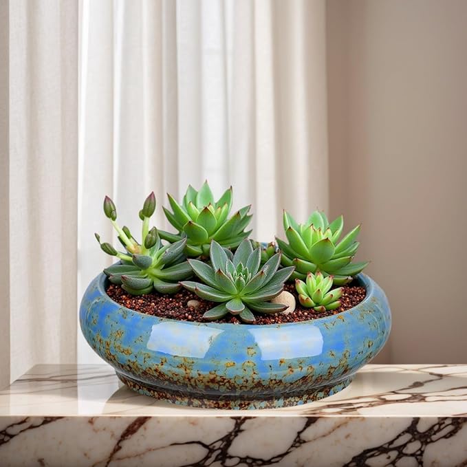 7.3 Inch Succulent Planters Pots Shallow Ceramic Glazed Planter Pots, Lotus Bowl Planter Round Shallow Planter Water Lily Pot for Indoor/Outdoor Plants Decorative (Blue)