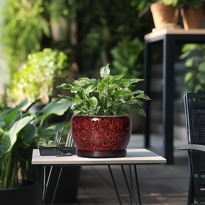 SQOWL Ceramic Plant Pots - 8 inch Planter with Drainage Hole and Tray, Round Ceramic Planter for Indoor Outdoor, Modern Decorative Flower Pot, Home Room House Decor, Plant Lovers Gifts, Red