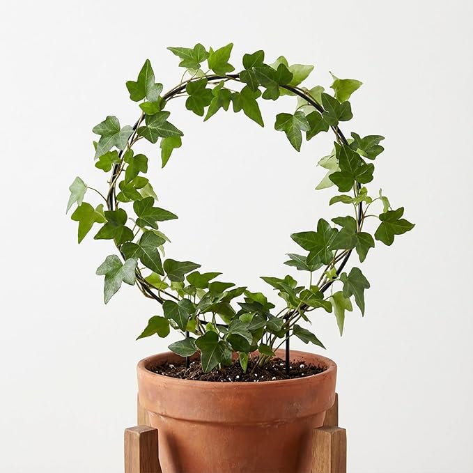 2 Pcs Trellis for Climbing Plants Indoor 14.5" Hoya Trellis Set Small Plant Support Stakes Round Climbing Plant Supports Flower Houseplant Hoya Support for Garden Stem Vines Potted Plants