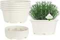 5 Pack 8.5 inch Plant Pot,Outdoor Flower Pots,Plastic pots for Plants Indoor with Drainage Holes and Trays, Decorative Garden Containers Sets for Houseplants