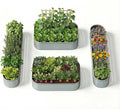 4-Pack 18” Tall Galvanized Raised Garden Beds – Small Space Garden Layout, Fits 170 Sq Ft Yard or Patio, 10x2x1.5 & 6x4x1.5 ft Metal Planter Box for Compact Outdoor Gardening-Brooklyn Grey