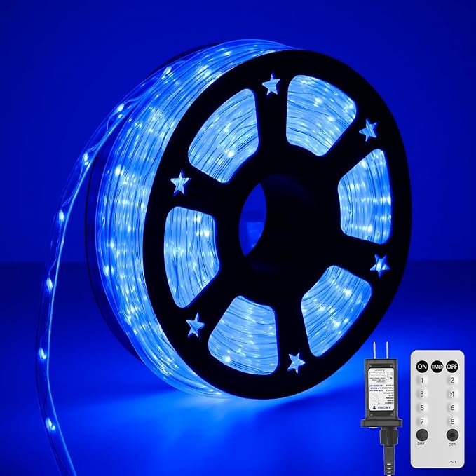 100Ft 720 LED Rope Lights Outdoor Waterproof with Remote, 8 Modes and 4 Brightness Blue Rope Lights for Outside, Garden, Patio, Pool, Bedroom, Party, Indoor Outdoor Decoration (Blue)