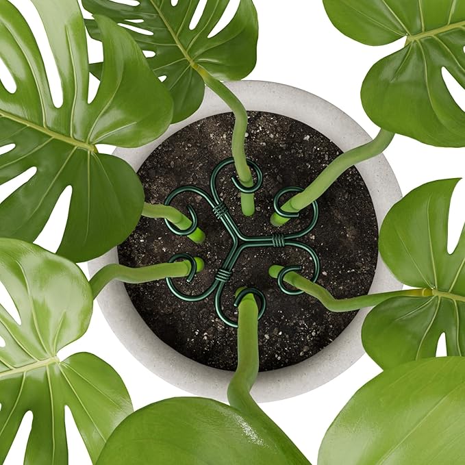 4PCS Green Iron Monstera Support, Uniquely Designed Plant Support Stakes for Indoor Plants, Stable Plant Stakes and Supports, Turtle Shell Bamboo Clamp Set for Thriving Growth