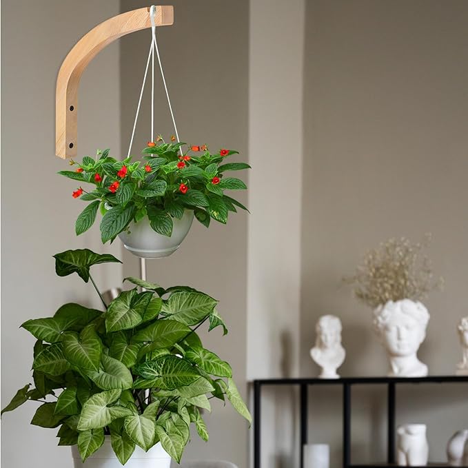 Wooden Wall Hooks for Plants - 8 Inch Indoor Plant Hangers, 2 Pack Decorative Wood Wall Hooks for Hanging Planters, Lanterns, Wind Chimes & Garden Decor (Natural Wood, Heavy Duty)