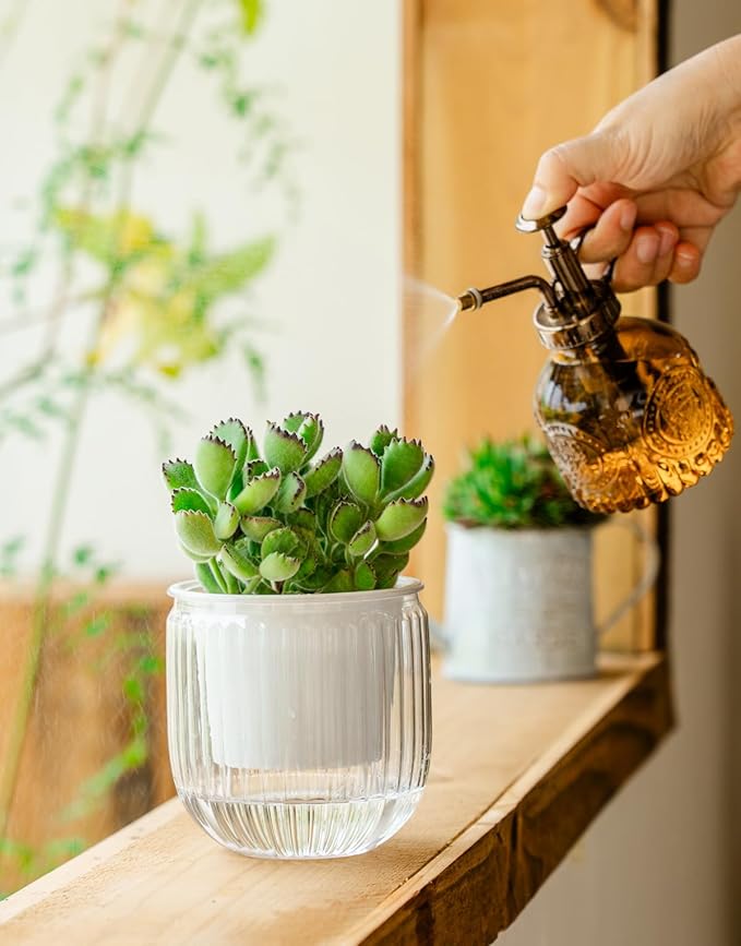 Melphoe Self Watering Pots for Indoor Plants Planter, 4.3 Inch 2 Pack Planters Self Watering Plant Pots for Flower, Houseplants, Succulent, African Violets and Cactus with Drainage