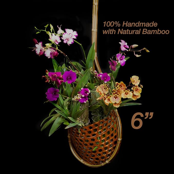 Handmade 100% Thai Bamboo Super Sanctuary Hanging Orchid Basket - 6 Inch Set of 2