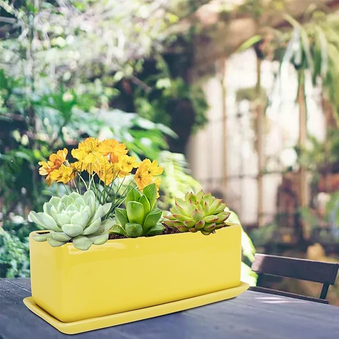 Vencer 12 Inch Rectangular Modern Minimalist Ceramic Succulent Planter Pot - Window Box with Saucer,Office Desktop Potted Stand,Yellow,VF-0135Y