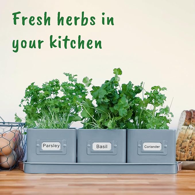 volila Herb Planter Indoor - Set of 3 Teal Blue Indoor Herb Garden Pots for Plants with Leather Handled Tray - Window Sill Plant Shelf - Herb Pots with Drainage Holes and Labels