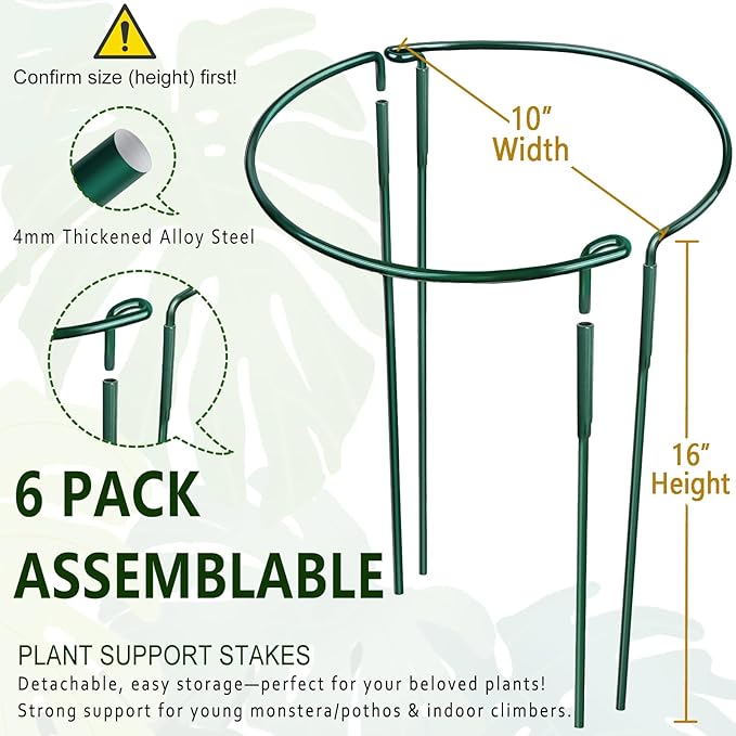 6 Pack Detachable & Assemblable Metal Plant Support Stakes - Garden Support Ring, Tomato Seedling Cage, Young Monstera/Pothos for Growing Indoor/Outdoor (10" W x 16" H)