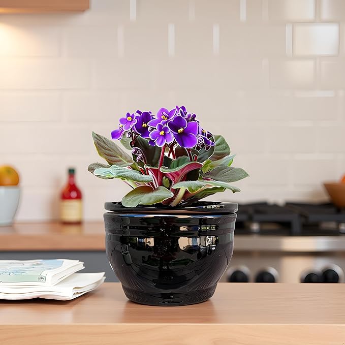 African Violet Pots Self Watering Round Ceramic Violet Pot (Black, 6 inch)