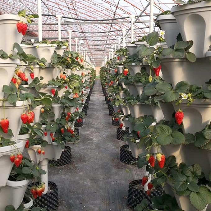 Strawberry Vertical Planters 5 Tiered, Stacking Tower Garden, Stackable Herb Vegetable Planters with Movable Casters and Bottom Saucer Indoor and Outdoor - White