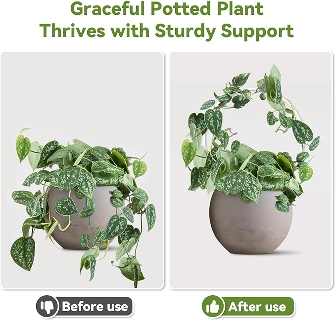2 Pack Round Plant Trellis for Potted Plants Indoor Outdoor, Acrylic Small Trellis for Climbing Plants, Plant Support for Hoya Pothos Vine Ivy Monstera Flower Philodendrons Dischidia