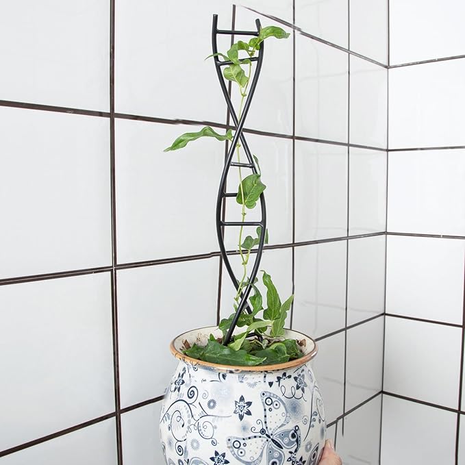 DNA Spiral Plant Trellis Indoor - Durable Metal Trellis for Potted Plants, Perfect for Small Houseplant Pots, Ideal for Ivy and Pothos, Space-Saving Vertical Support for Climbing Growth