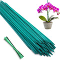 Bamboo Plant Stakes 50PCS, 18Inch Natural Bamboo Garden Stakes, Supports Indoor & Outdoor Plants, Straight Style, Green