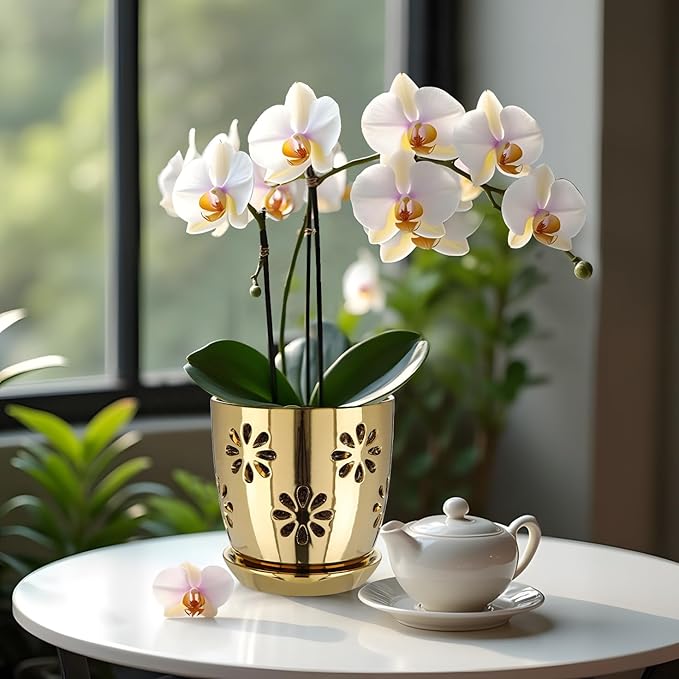 Oairse 6 inch Orchid Pots with Holes, Gold Ceramic Orchid Pot for Repotting Small Indoor Plant Pots with Drainage Holes and Saucers Decorative Flower Planter for Orchids, Indoor Plant