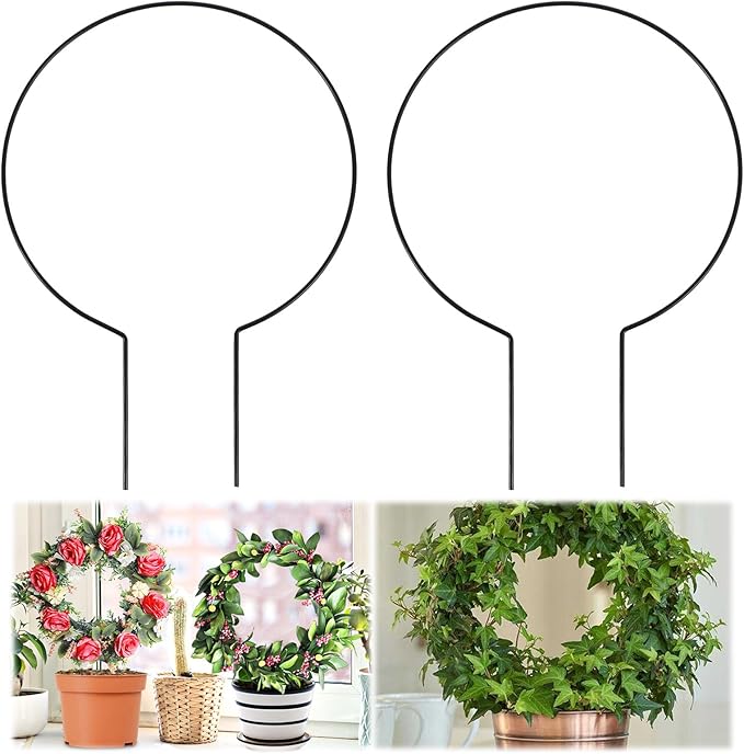 2 Pack Round Plant Trellis for Indoor Potted Plants, Acrylic Small Trellis for Climbing Plants Indoor Outdoor Plant Support for Hoya Pothos Vine Ivy Monstera Flower Philodendrons Dischidia