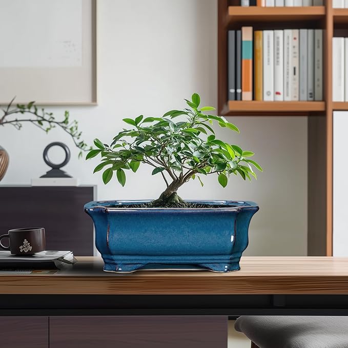 Bonsai Pots 11.6 Inch - Ceramic Succulent Pots with Drainage Hole, Rectangular Planter for Indoor Outdoor, Decorative Ceramic Flower Pot, Home Garden Room Decor, Plant Lover Gifts, Retro Blue
